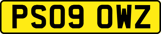 PS09OWZ