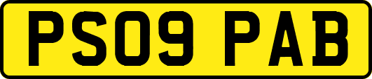 PS09PAB