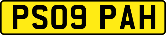 PS09PAH