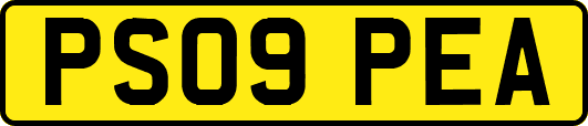 PS09PEA