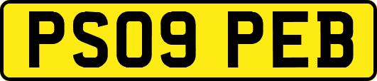 PS09PEB