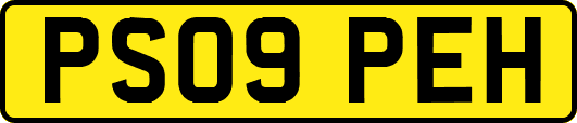 PS09PEH