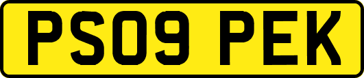 PS09PEK