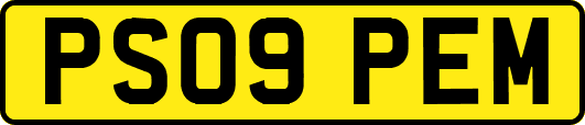 PS09PEM