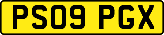 PS09PGX
