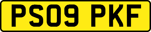 PS09PKF