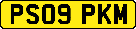PS09PKM