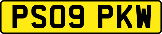 PS09PKW
