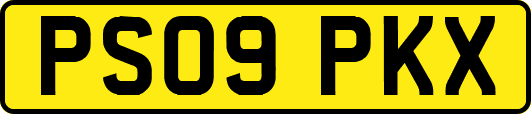 PS09PKX