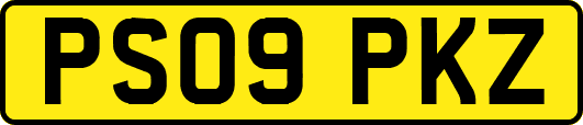 PS09PKZ