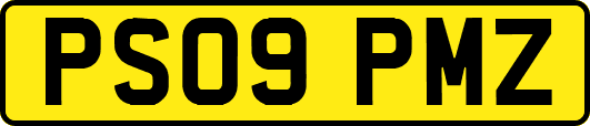 PS09PMZ