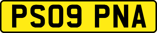 PS09PNA