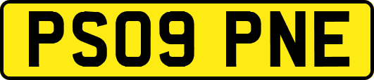 PS09PNE