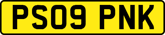 PS09PNK