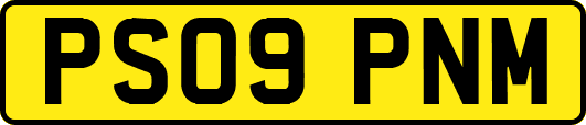 PS09PNM