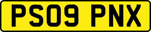 PS09PNX