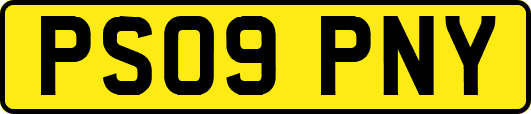 PS09PNY