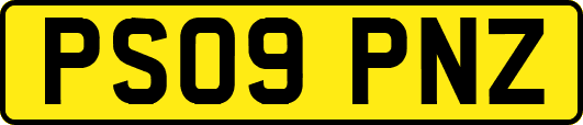 PS09PNZ