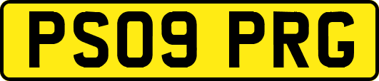 PS09PRG