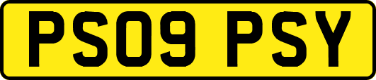 PS09PSY