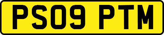 PS09PTM