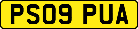PS09PUA