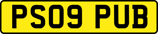PS09PUB