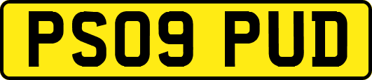 PS09PUD