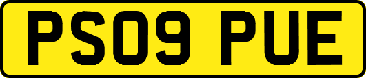 PS09PUE
