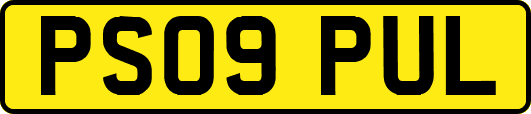 PS09PUL