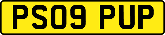 PS09PUP