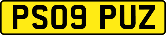PS09PUZ