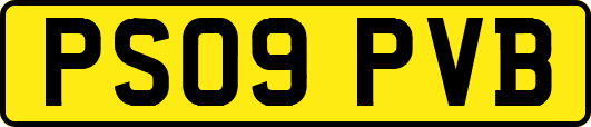 PS09PVB
