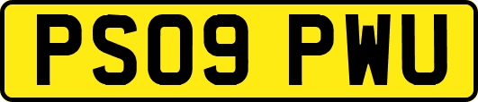 PS09PWU