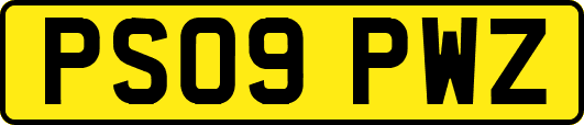 PS09PWZ