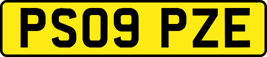 PS09PZE