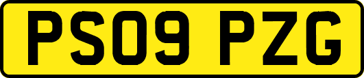 PS09PZG