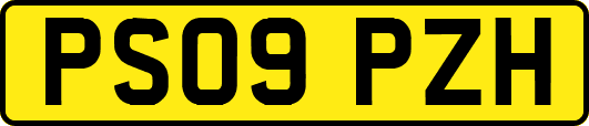 PS09PZH