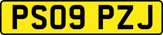 PS09PZJ