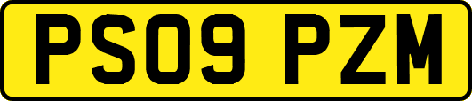 PS09PZM