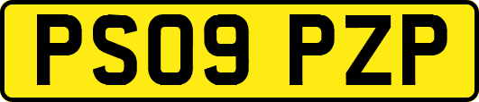 PS09PZP