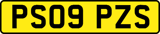 PS09PZS
