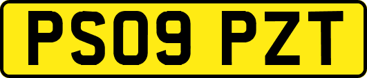 PS09PZT