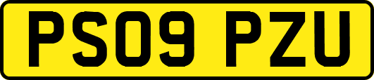 PS09PZU