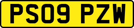 PS09PZW