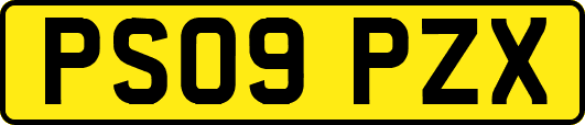 PS09PZX