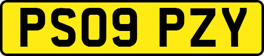 PS09PZY