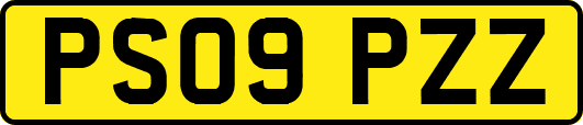 PS09PZZ