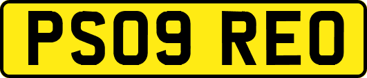 PS09REO