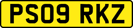 PS09RKZ